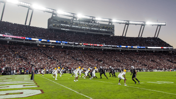 Nov 16, 2024; Columbia, South Carolina, USA; The Missouri Tigers play the South Carolina Gamecocks in the second half at Williams-Brice Stadium. Mandatory Credit: Jeff Blake-Imagn Images