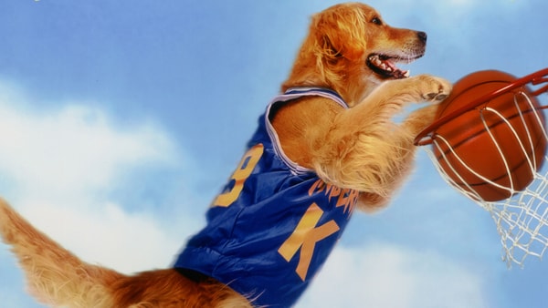 The original Air Bud, via Disney