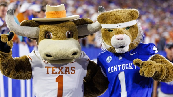 rapid-reaction-texas