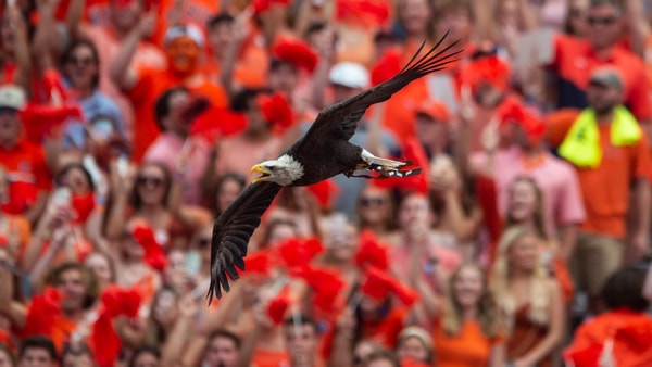 kentucky-vs-auburn-game-time-tv-network-announced