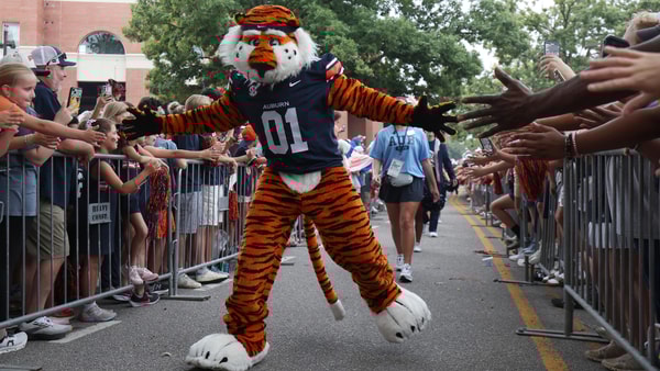 Sep 6, 2025; Auburn, Alabama, USA; Aubie, the Auburn Tigers mascot, greets fans as he goes through Tiger Walk before the game against the Ball State Cardinals at Jordan-Hare Stadium. Mandatory Credit: John Reed-Imagn Images