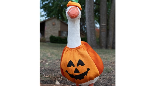 The J-Town Goose Wrangler is staling concrete geese, like this, via Evert Nelson:The Capital-Journal : USA TODAY NETWORK