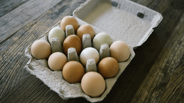 mark-stoops-needs-to-avoid-the-egg-kentucky-football