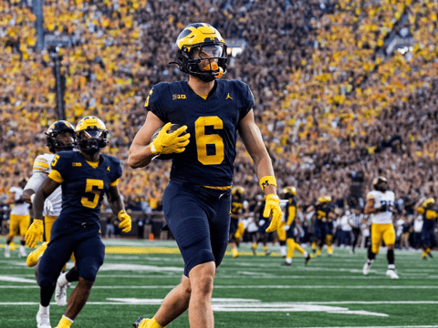 On3 - michigan-minnesota-odds - hookly (1)