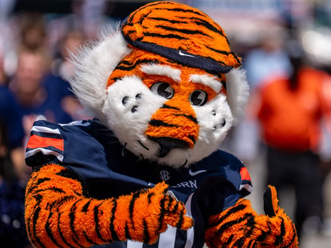 aubie 1200 mr 9-30-26