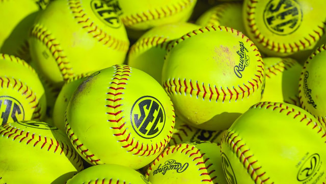 south carolina gamecocks softball