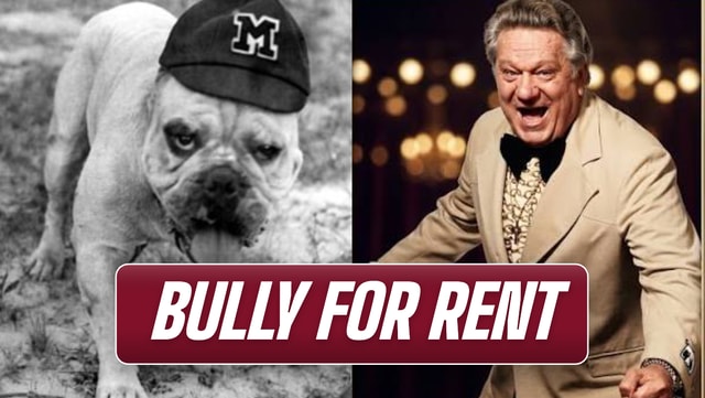 South Carolina - Bully for rent - hookly