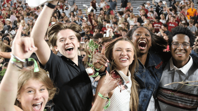 south carolina gamecocks fans