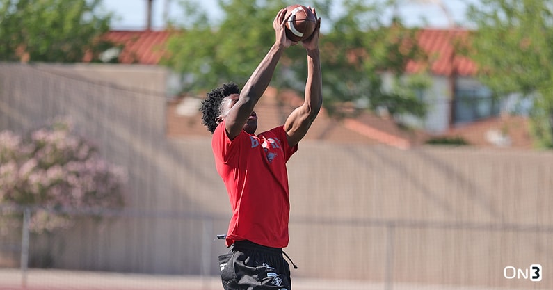 Donovan McNabb Jr 6 copy 1.jpg