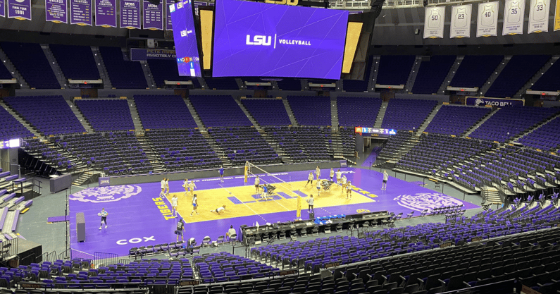 kentucky-volleyball-defeats-scrappy-lsu-team