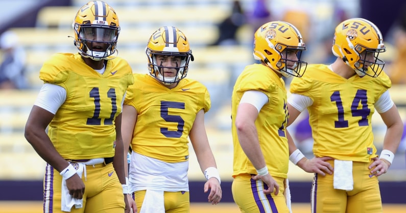 lsu-tigers-quarterback-controversy-fueled-by-garrett-doug-nussmeier-max-johnson-ed-orgeron