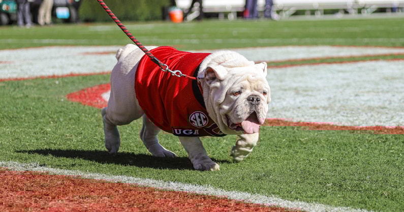 UGA-CSU15-min