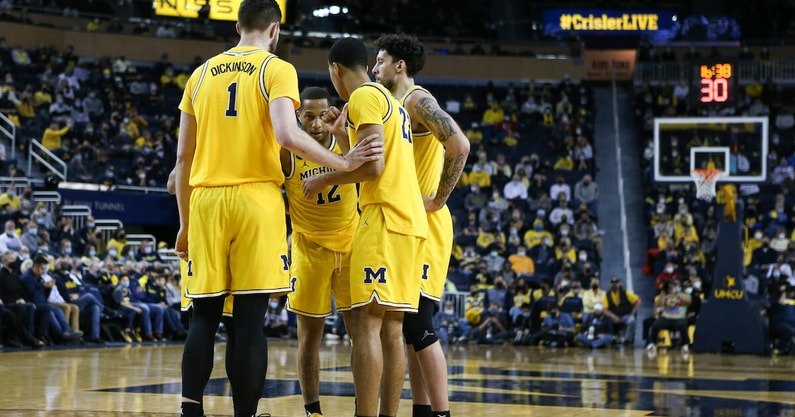 Michigan basketball Brandon Johns