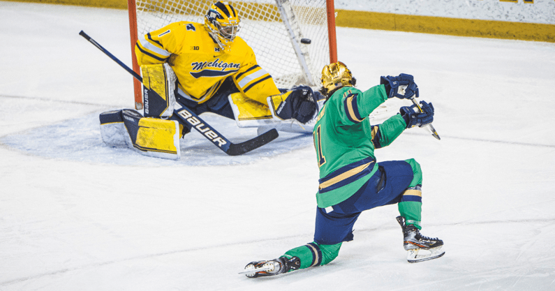 Michigan goalie Erik Portillo