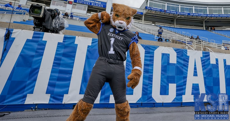 Kentucky Wildcat mascot
