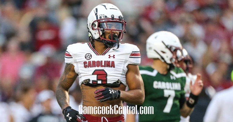 projecting-roles-for-south-carolina-transfer-portal-additions