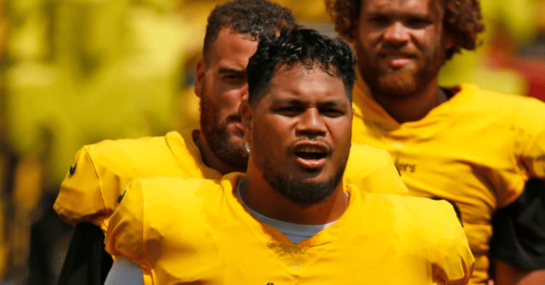 Steelers Tyson Alualu