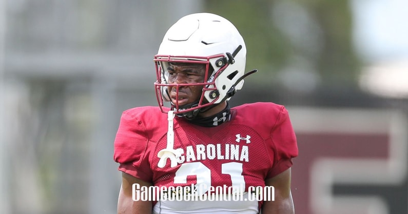 south-carolina-gamecocks-football-nick-emmanwori-spring-2023-interview