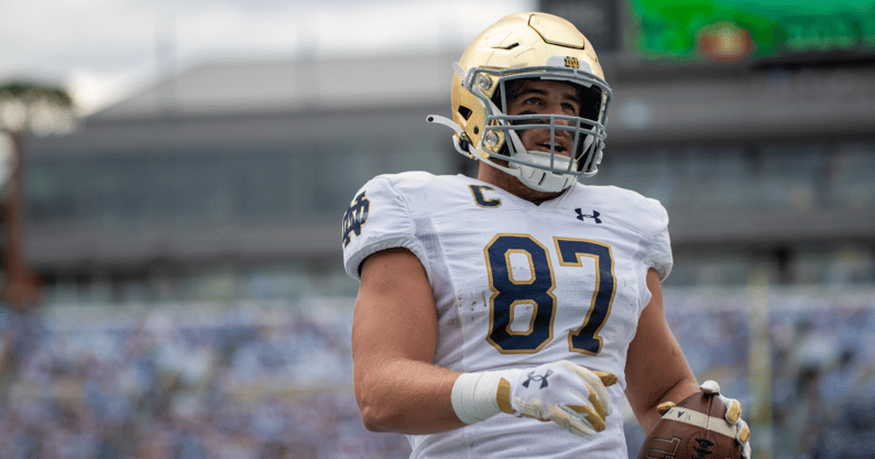 Notre Dame tight end Michael Mayer