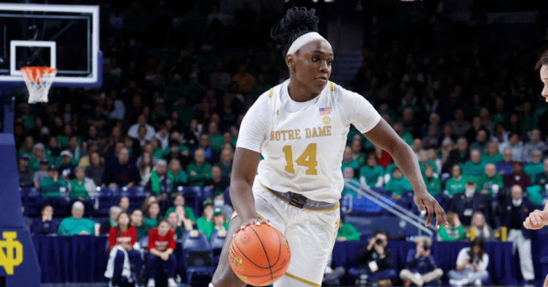 kk bransford notre dame