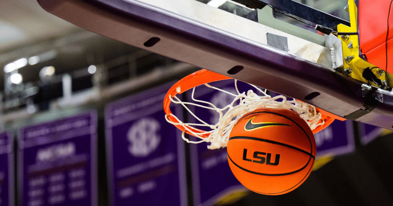 lsu basketball