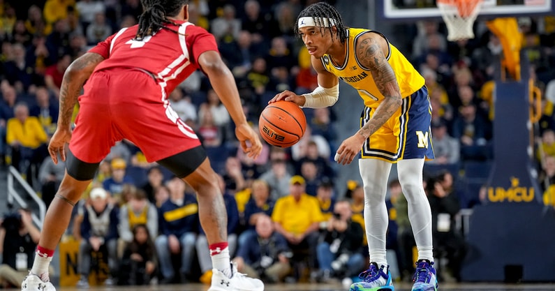 Wisconsin v Michigan