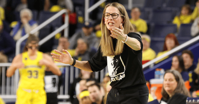 Michigan basketball: Kim Barnes Arico on NCAA Tournament