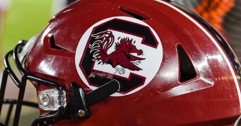 South Carolina Gamecocks