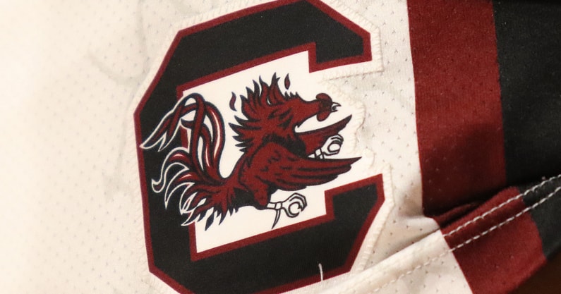 south carolina basketball logo