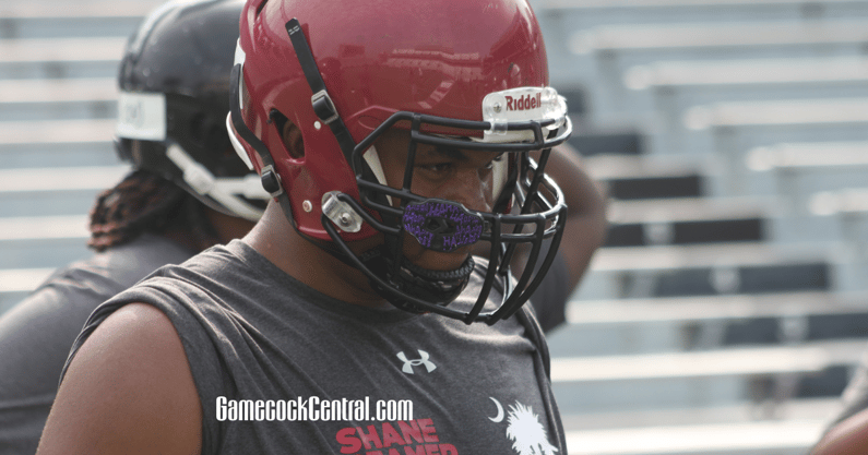 south-carolina-gamecocks-football-recruiting-darius-gray-visit-recap