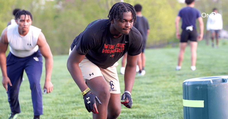 Untitled design (92)