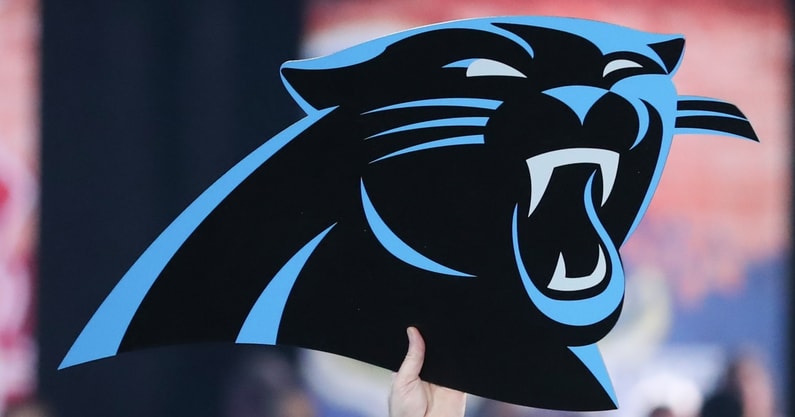 Panthers logo