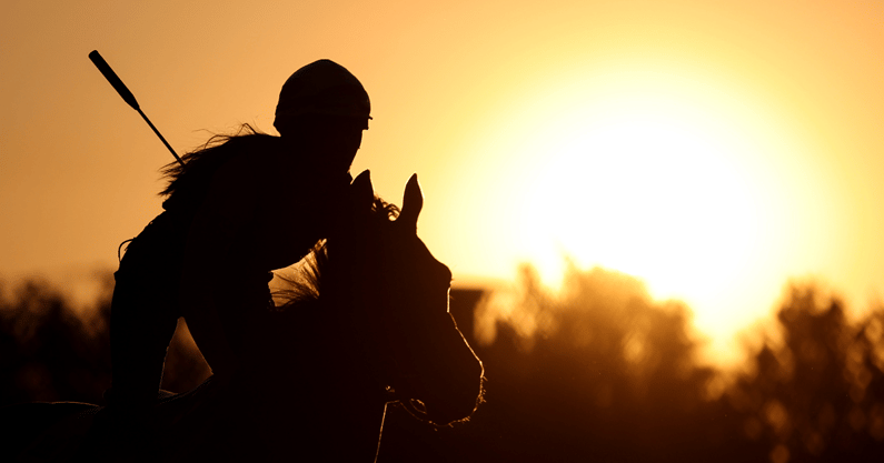 first-mission-mage-top-challenger-scratched-from-preakness-stakes-triple-crown
