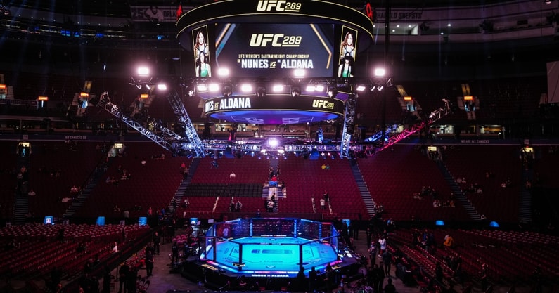 ufc 289