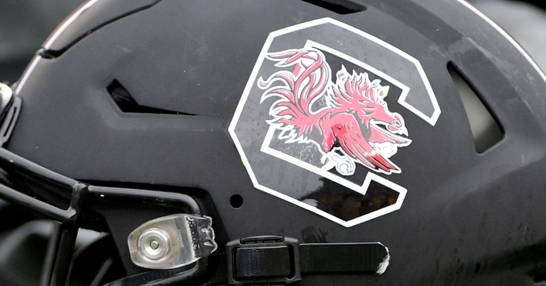 South Carolina Gamecocks