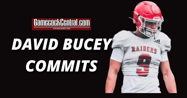 Video: Safety David Bucey commits to South Carolina