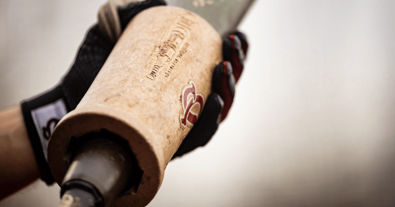 South Carolina baseball bat ring