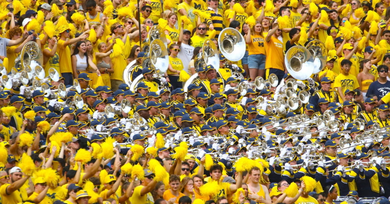 Michigan fans