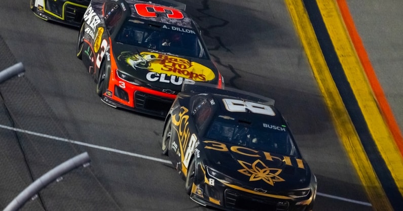 Kyle Busch, Austin Dillon