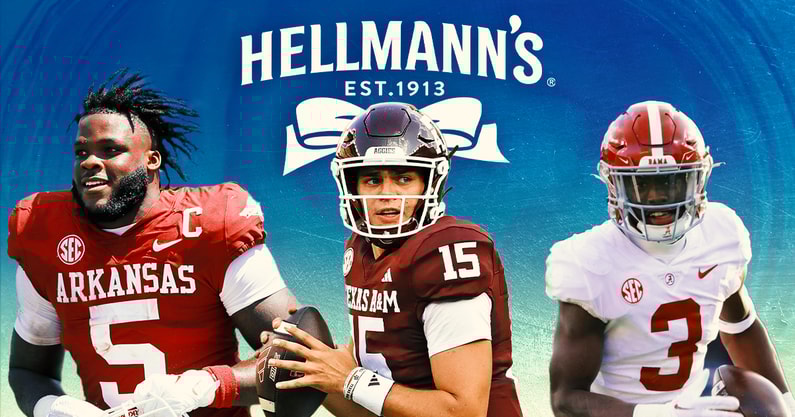 hellmanns-