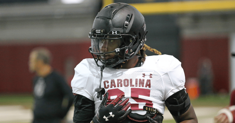 Former South Carolina receiver CJ Adams (Photo by Collyn Taylor/GamecockCentral)