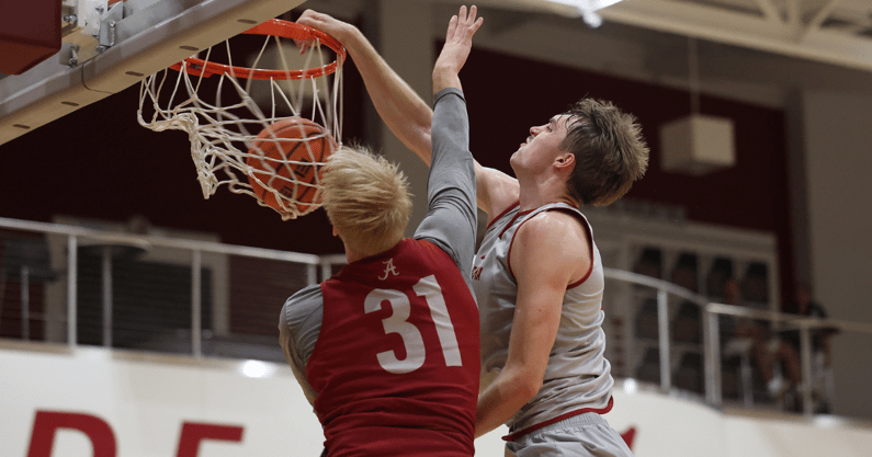 Alabama forward Grant Nelson