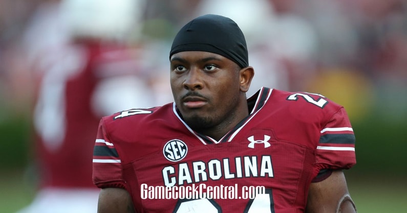 south carolina gamecocks football mario anderson