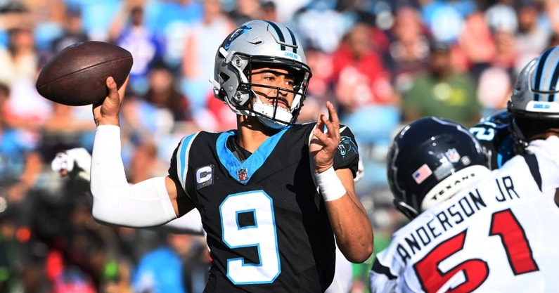 Panthers