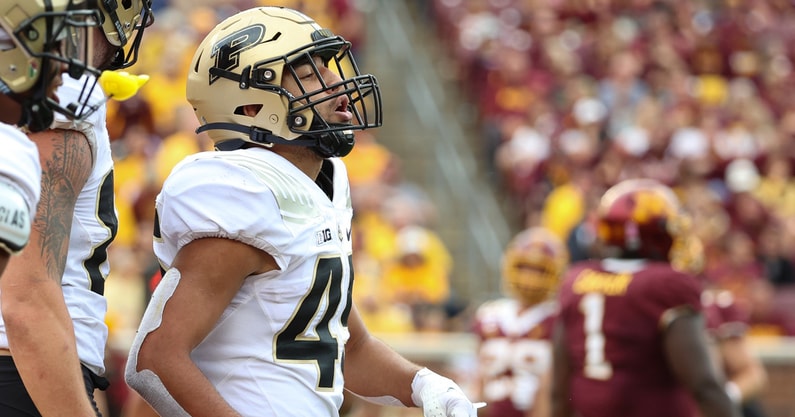 NCAA Football: Purdue at Minnesota