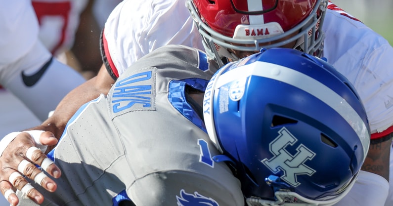 Bama-241303