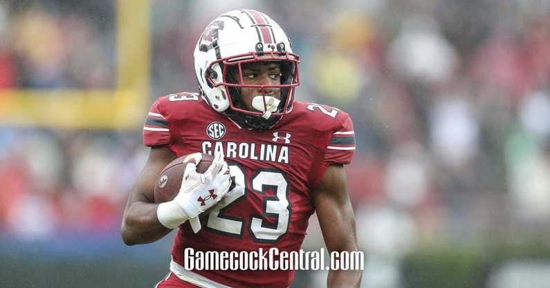 south carolina gamecocks RB DJay Braswell