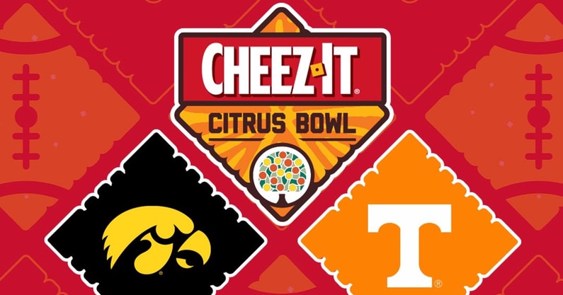 Cheez It Bowl