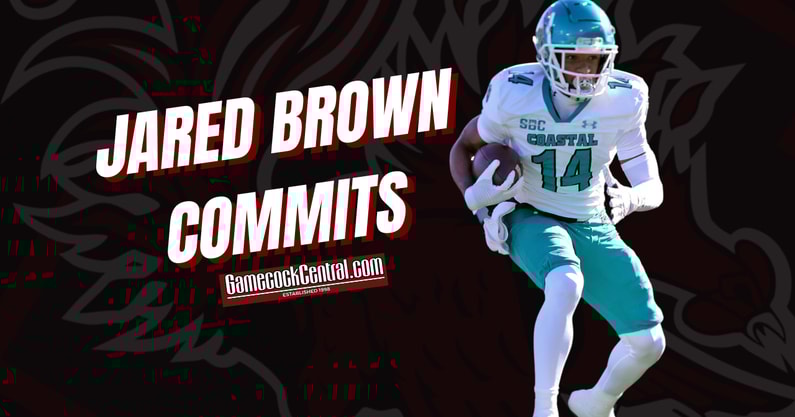 JARED BROWN