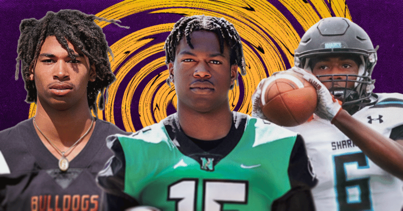 LSU DBs